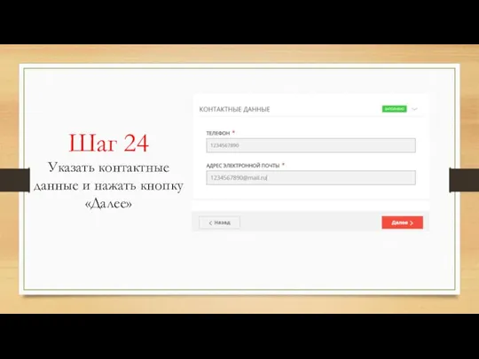 Шаг 24 Указать контактные данные и нажать кнопку «Далее»