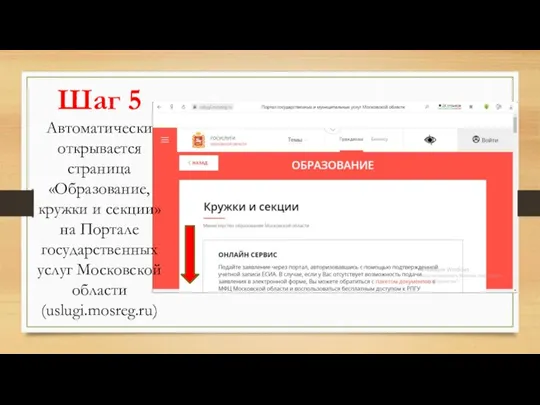 Шаг 5 Автоматически открывается страница «Образование, кружки и секции» на Портале государственных услуг Московской области (uslugi.mosreg.ru)