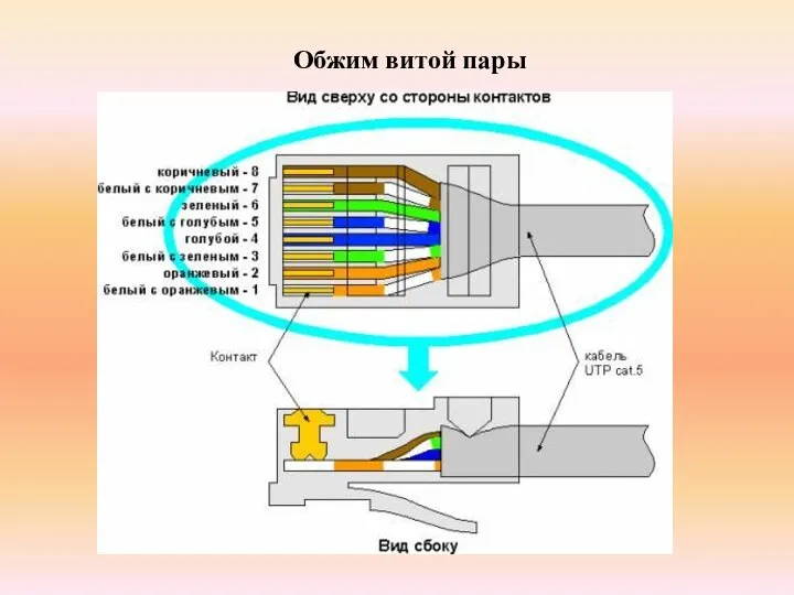 Обжим витой пары