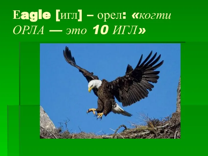 Еagle [игл] – орел: «когти ОРЛА — это 10 ИГЛ»