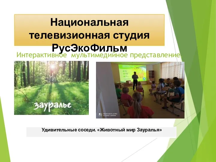 Национальная телевизионная студия РусЭкоФильм Интерактивное мультимедийное представление.