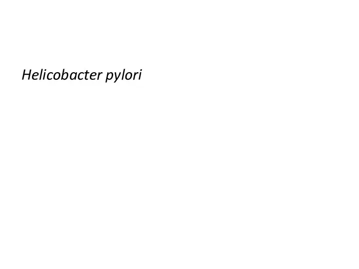 Helicobacter pylori