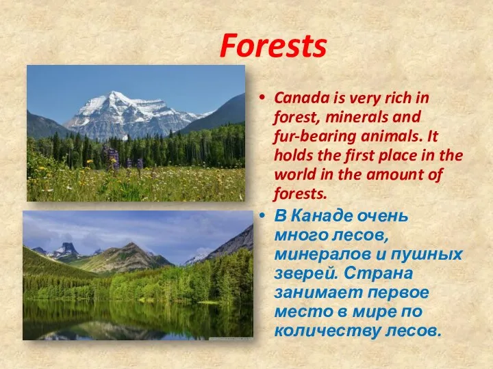 Forests Canada is very rich in forest, minerals and fur-bearing animals. It