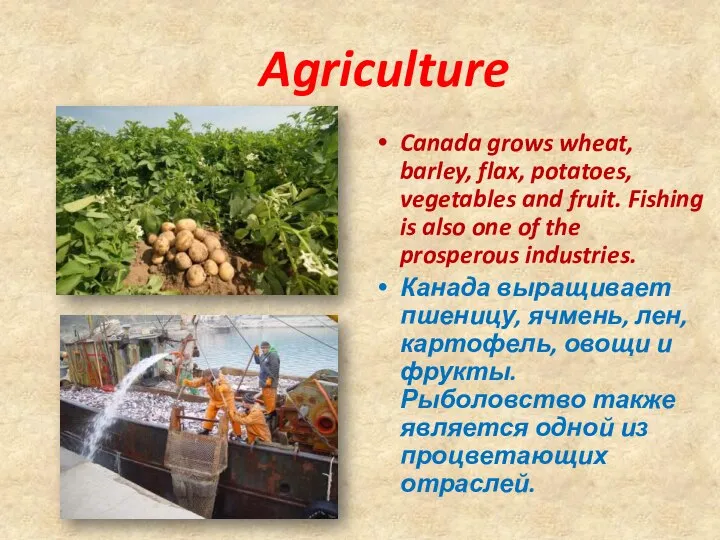 Agriculture Canada grows wheat, barley, flax, potatoes, vegetables and fruit. Fishing is