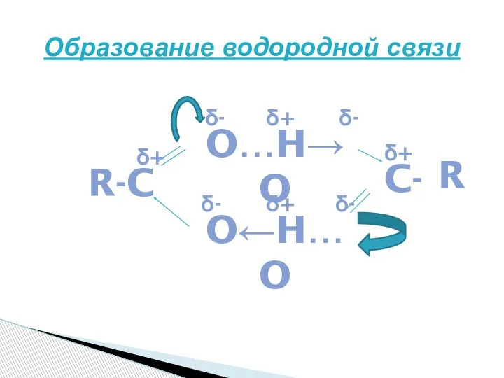 Образование водородной связи R-C O…H→O R O←H…O C- δ- δ+ δ+ δ- δ- δ- δ+ δ+