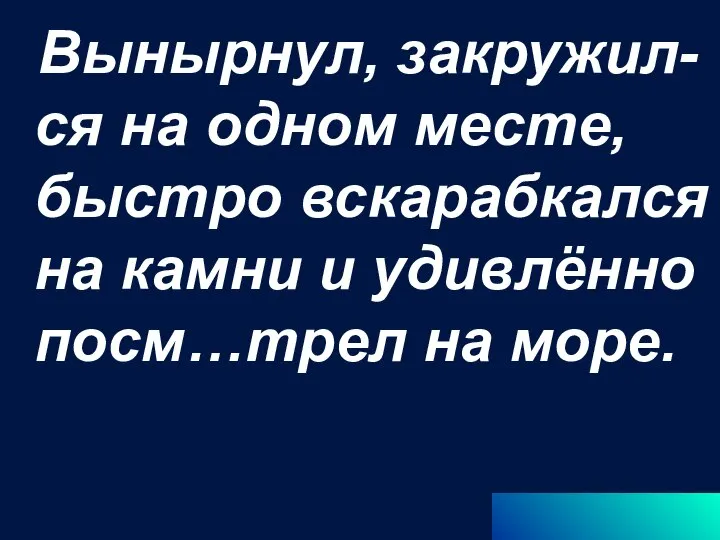 Вынырнул, закружил-ся на одном месте, быстро вскарабкался на камни и удивлённо посм…трел на море.