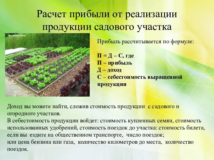 Расчет прибыли от реализации продукции садового участка Прибыль рассчитывается по формуле: П