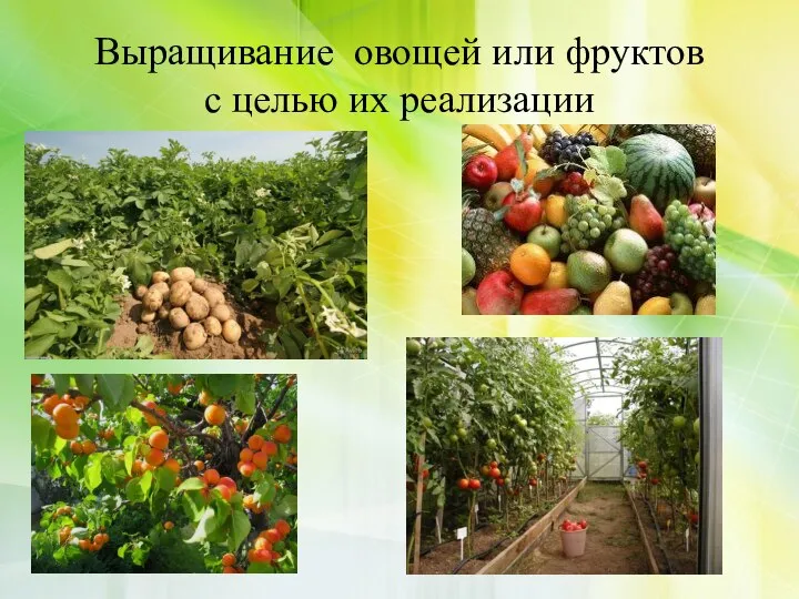 Выращивание овощей или фруктов с целью их реализации