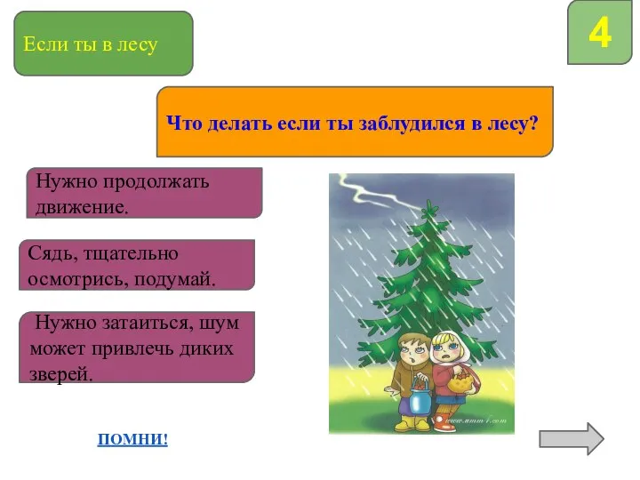 Если ты в лесу 4 Что делать если ты заблудился в лесу?