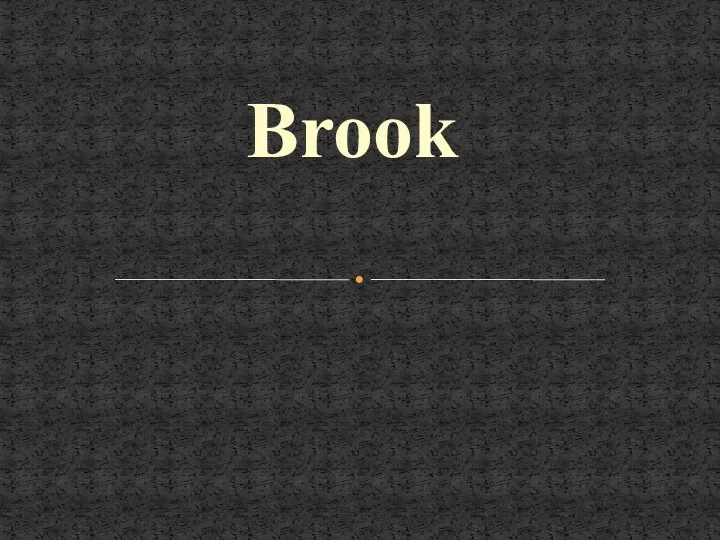 Brook