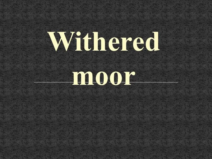 Withered moor