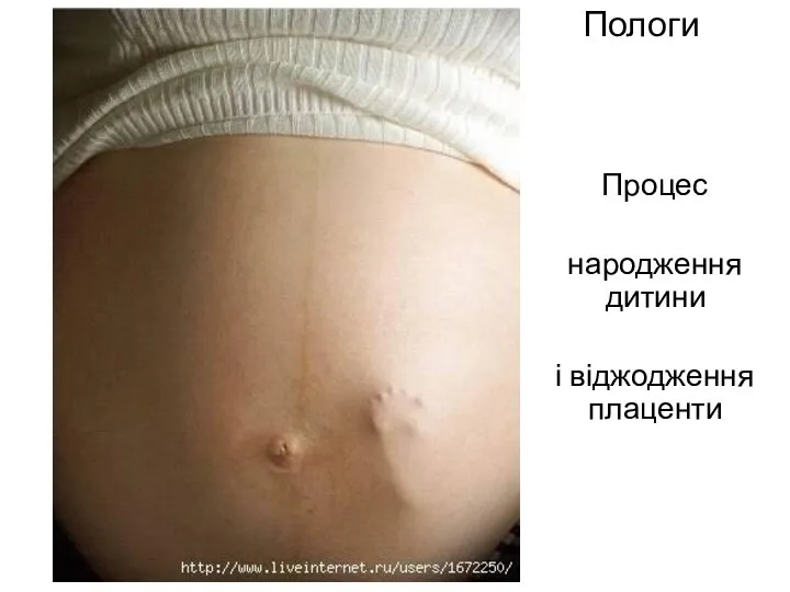 Пологи Процес народження дитини і віджодження плаценти