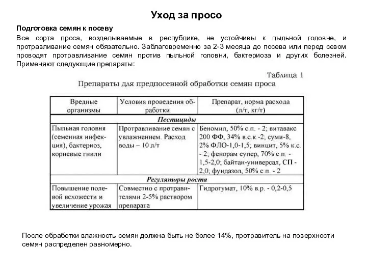 Подготовка семян к посеву Все сорта проса, возделываемые в республике, не устойчивы