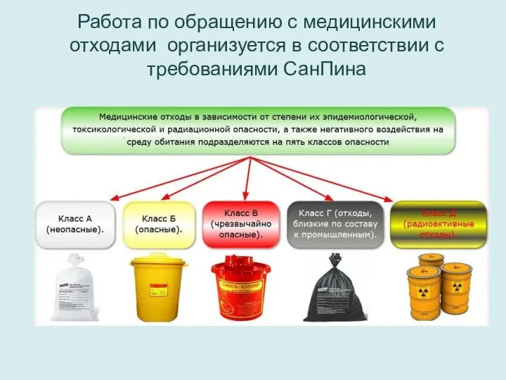 Работа по обращению с медицинскими отходами организуется в соответствии с требованиями СанПина