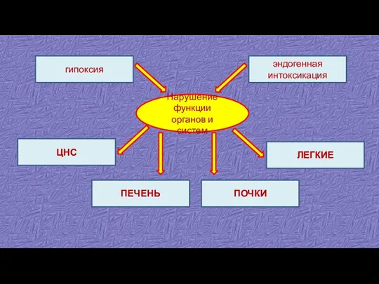 гипоксия эндогенная интоксикация Нарушение функции органов и систем ЦНС ЛЕГКИЕ ПЕЧЕНЬ ПОЧКИ