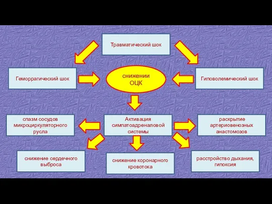 Травматический шок Гиповолемический шок Геморрагический шок снижении ОЦК Активация симпатоадреналовой системы снижение