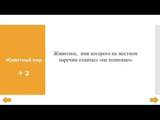 Животный мир + 2 Животное, имя которого на местном наречии означает «не понимаю»