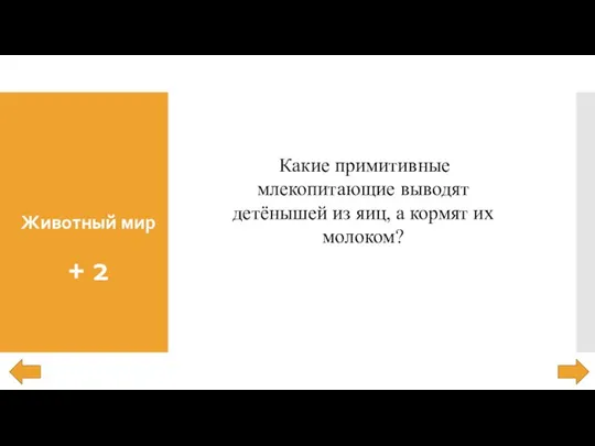 Животный мир + 2 Какие примитивные млекопитающие выводят детёнышей из яиц, а кормят их молоком?