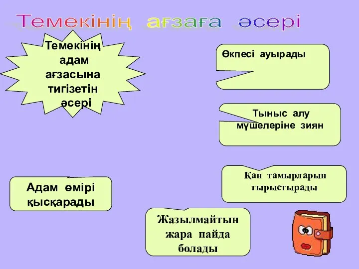 Темекінің ағзаға әсері Темекінің адам ағзасына тигізетін әсері Өкпесі ауырады Қан тамырларын