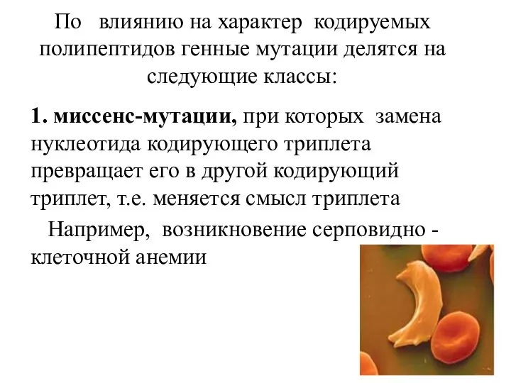 По влиянию на характер кодируемых полипептидов генные мутации делятся на следующие классы: