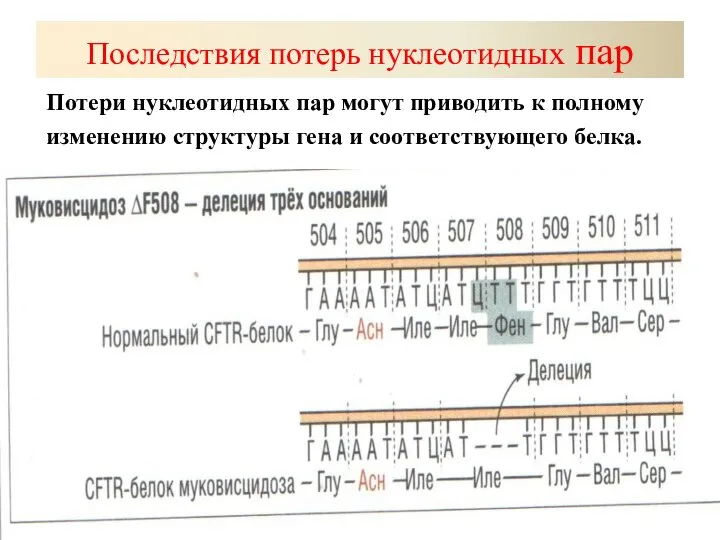 Последствия потерь нуклеотидных пар Потери нуклеотидных пар могут приводить к полному изменению