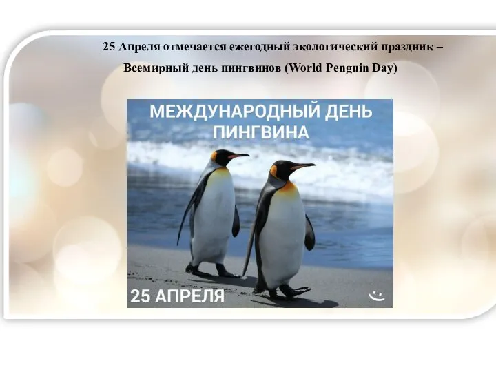 25 Апреля отмечается ежегодный экологический праздник – Всемирный день пингвинов (World Penguin Day)