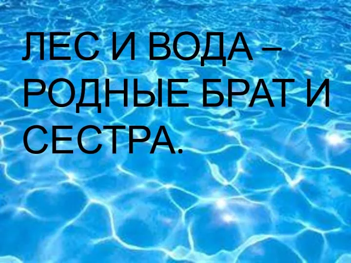 ЧТО ЛЕС И ВОДА – РОДНЫЕ БРАТ И СЕСТРА.