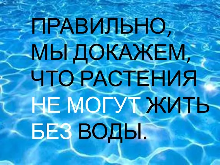 ЧТО ПРАВИЛЬНО, МЫ ДОКАЖЕМ, ЧТО РАСТЕНИЯ НЕ МОГУТ ЖИТЬ БЕЗ ВОДЫ.