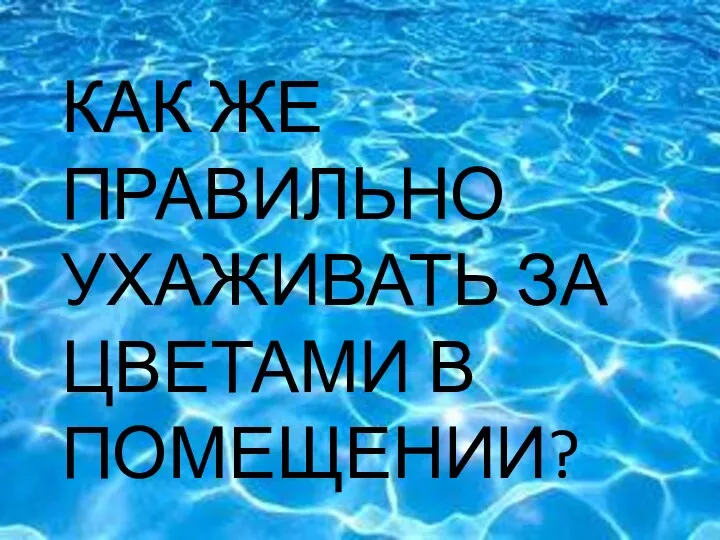 ЧТО КАК ЖЕ ПРАВИЛЬНО УХАЖИВАТЬ ЗА ЦВЕТАМИ В ПОМЕЩЕНИИ?