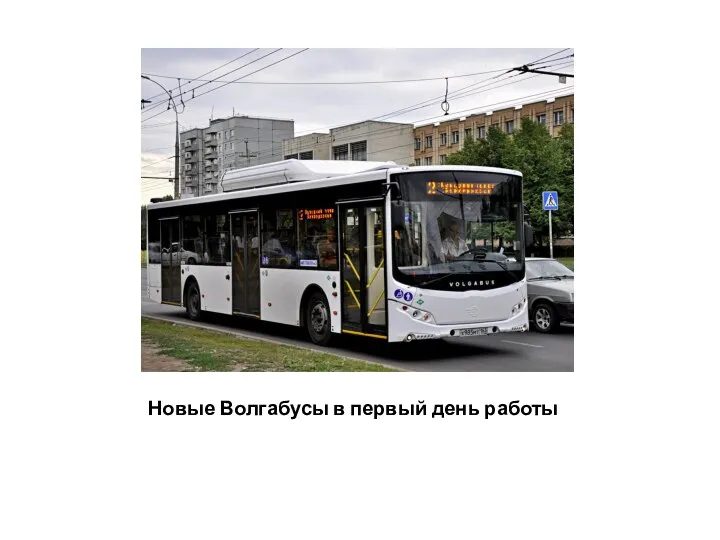 Новые Волгабусы в первый день работы