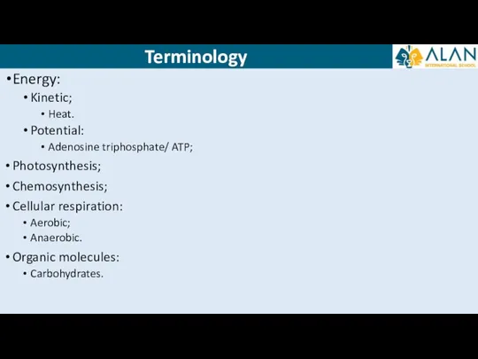 Energy: Kinetic; Heat. Potential: Adenosine triphosphate/ ATP; Photosynthesis; Chemosynthesis; Cellular respiration: Aerobic;