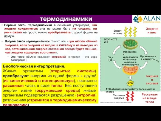 Первый закон термодинамики в основном утверждает, что энергия сохраняется; она не может