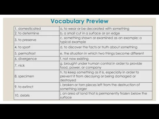Vocabulary Preview