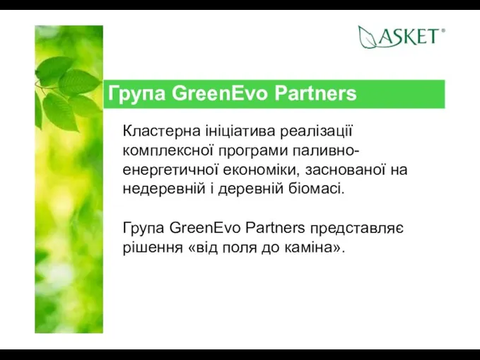 Група GreenEvo Partners Кластерна ініціатива реалізації комплексної програми паливно-енергетичної економіки, заснованої на