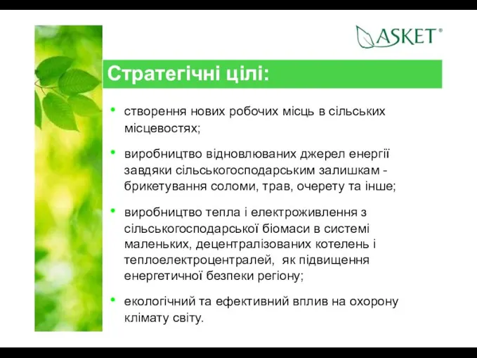 Стратегічні цілі: створення нових робочих місць в сільських місцевостях; виробництво відновлюваних джерел