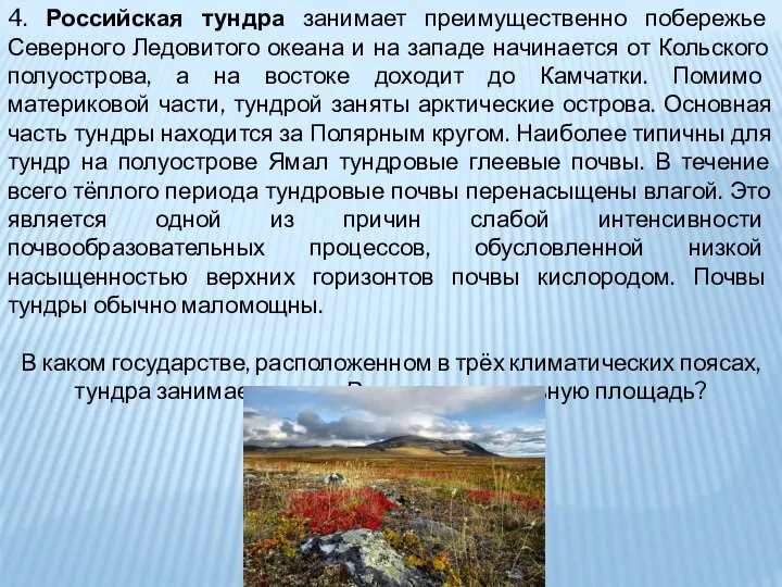 4. Российская тундра занимает преимущественно побережье Северного Ледовитого океана и на западе