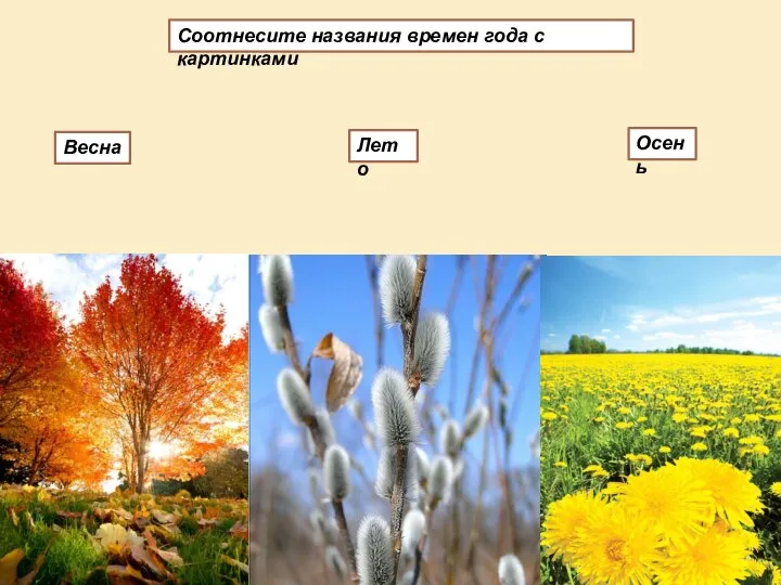 Соотнесите названия времен года с картинками Лето Осень Весна
