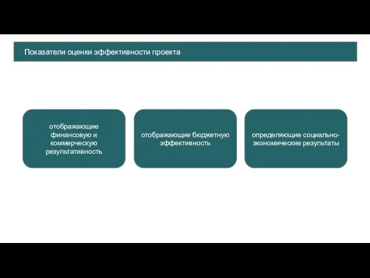 Показатели оценки эффективности проекта отображающие финансовую и коммерческую результативность отображающие бюджетную эффективность определяющие социально-экономические результаты