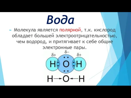 Вода Молекула является полярной, т.к. кислород обладает большей электроотрицательностью, чем водород, и