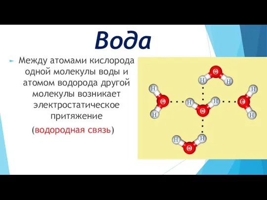 Вода Между атомами кислорода одной молекулы воды и атомом водорода другой молекулы