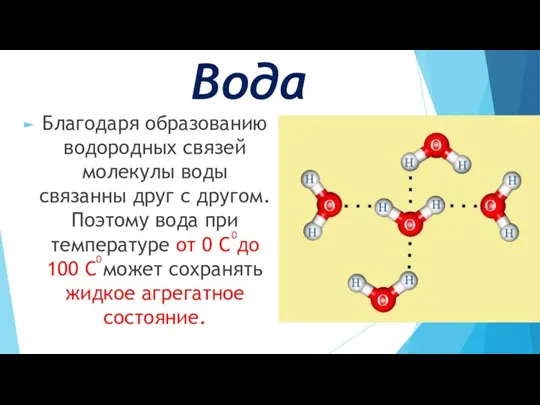 Вода Благодаря образованию водородных связей молекулы воды связанны друг с другом. Поэтому