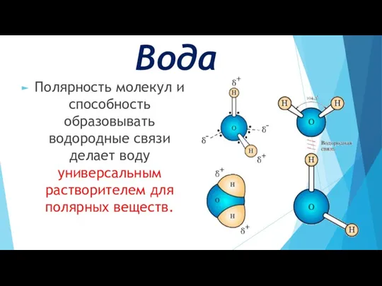 Вода Полярность молекул и способность образовывать водородные связи делает воду универсальным растворителем для полярных веществ.