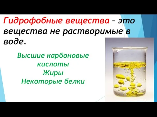 Гидрофобные вещества – это вещества не растворимые в воде. Высшие карбоновые кислоты Жиры Некоторые белки