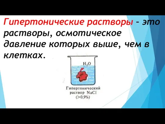 Гипертонические растворы – это растворы, осмотическое давление которых выше, чем в клетках.