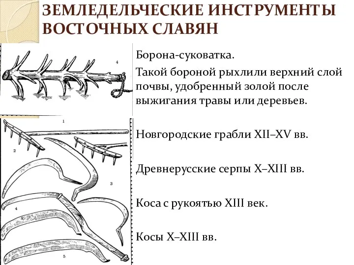 ЗЕМЛЕДЕЛЬЧЕСКИЕ ИНСТРУМЕНТЫ ВОСТОЧНЫХ СЛАВЯН Борона-суковатка. Такой бороной рыхлили верхний слой почвы, удобренный