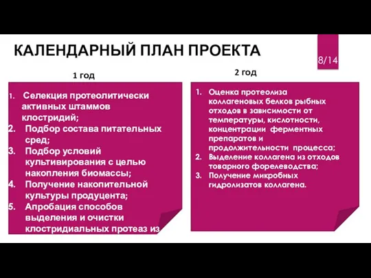 КАЛЕНДАРНЫЙ ПЛАН ПРОЕКТА 1 год 2 год Селекция протеолитически активных штаммов клостридий;