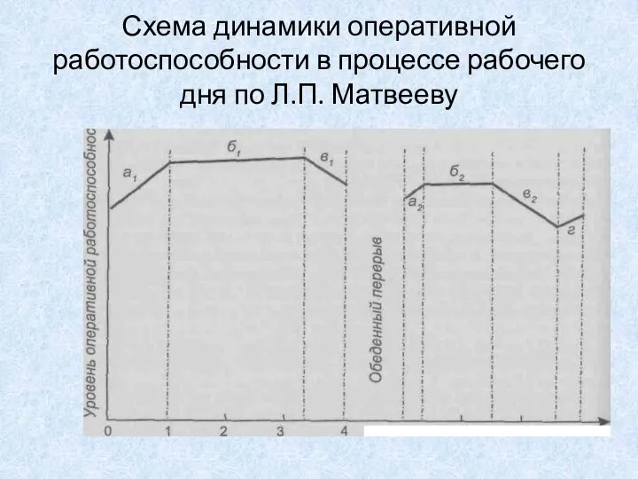 Схема динамики оперативной работоспособности в процессе рабочего дня по Л.П. Матвееву