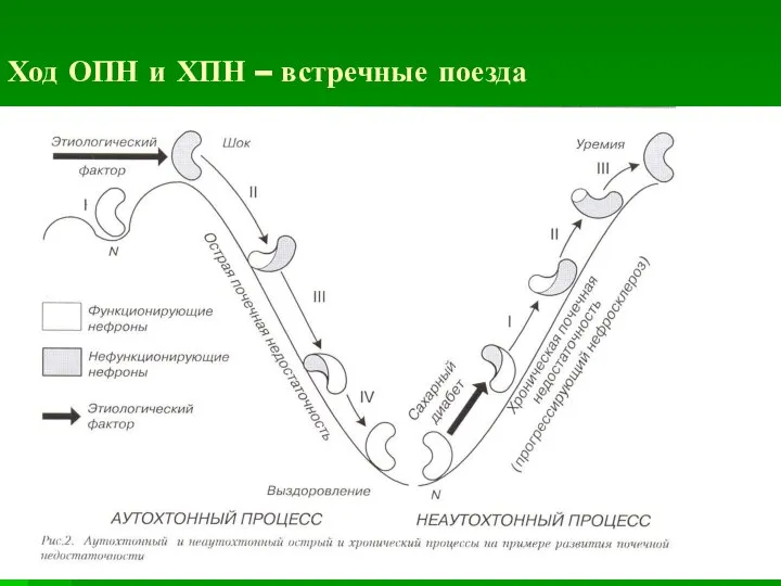 Ход ОПН и ХПН – встречные поезда