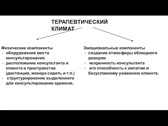 ТЕРАПЕВТИЧЕСКИЙ КЛИМАТ Физические компоненты оборудование места консультирования расположение консультанта и клиента в