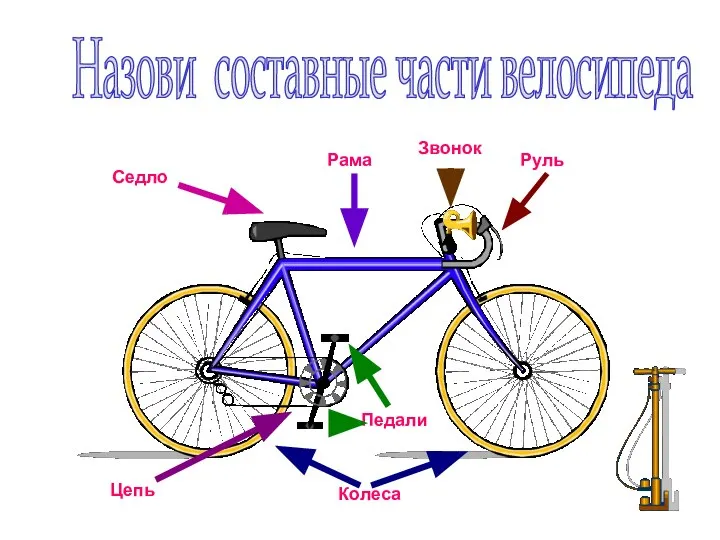 Руль Колеса Седло Рама Педали Цепь Звонок Назови составные части велосипеда http://www.deti-66.ru/